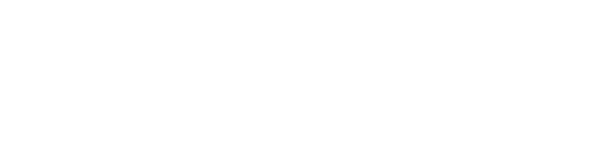 DI Wholesale Logo